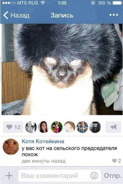MTS RUS 1:05 100 Назад Запись eee Котя Котейкина у вас кот на сельского председателя похож 2 две минуты назад Отпр