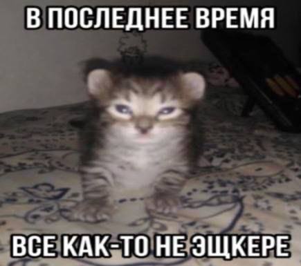 В ПОСЛЕДНЕЕ ВРЕМЯ ВСЕ КАК-ТО НЕ ЭЩКЕРЕ