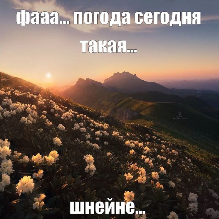 фааа... погода сегодня тавая.. шнейне