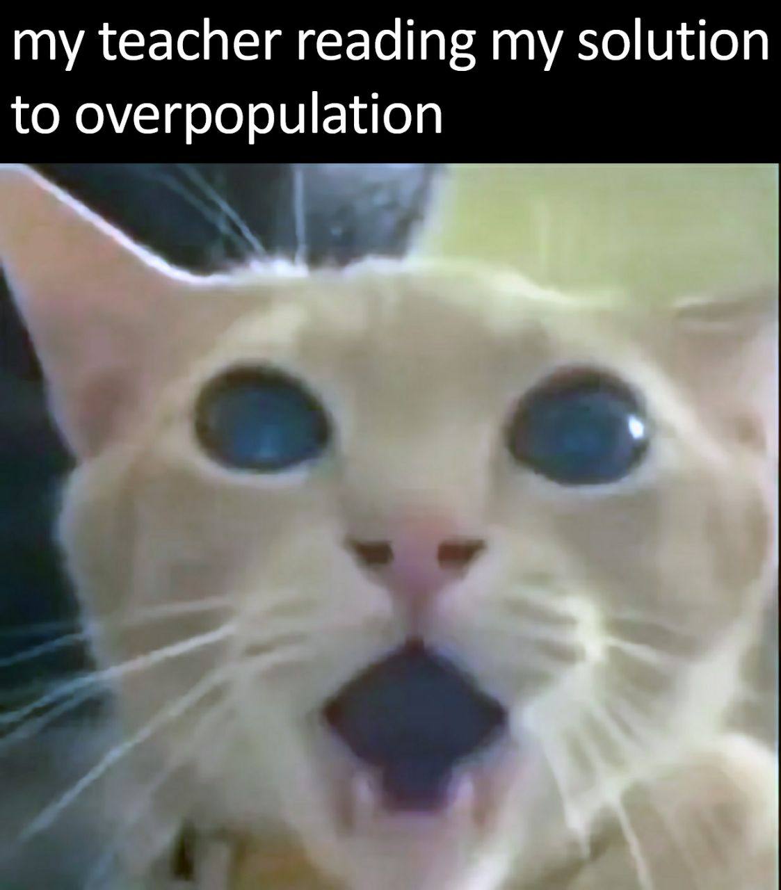 my teacher reading my solution to overpopulation