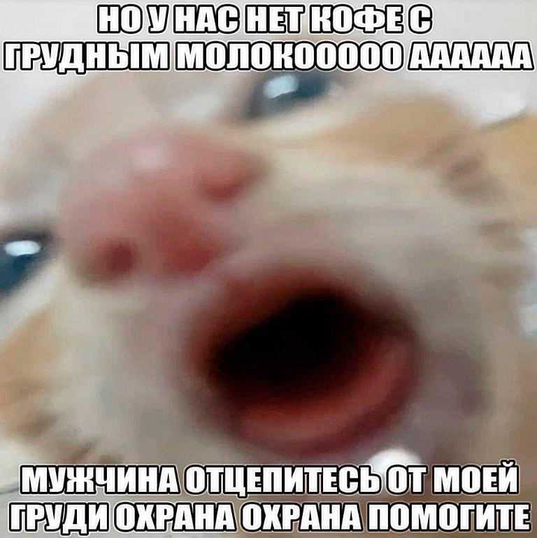 МОЕЙ 'ПРУДИОКРАНА ОХРАНА ПОМОГИТЕ