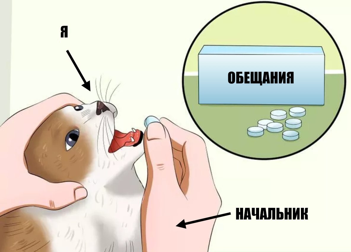 Я ОБЕЩАНИЯ НАЧАЛЬНИК
