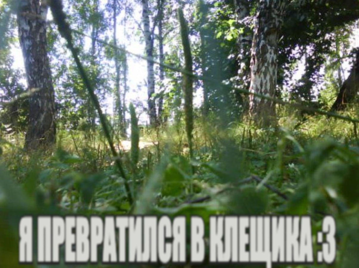 4 4 А, 4 eet a. #8. 1 “4 $9 А ПРЕВРАТИЛСЯ В КЛЕЩИКА 3