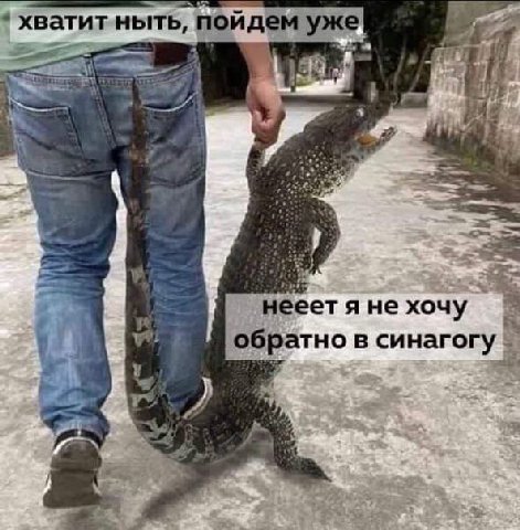 хватит ныть, пойдем уже 5 нееет я не хочу обратно в синагогу я с