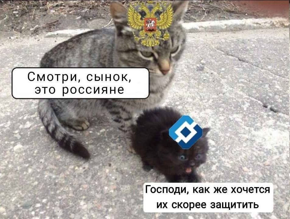 Смотри, сынок, это россияне 4 как же хочется скорее защитить