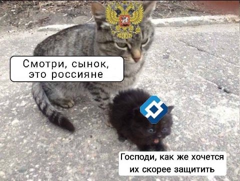 Смотри, сынок, это россияне 4 как же хочется скорее защитить
