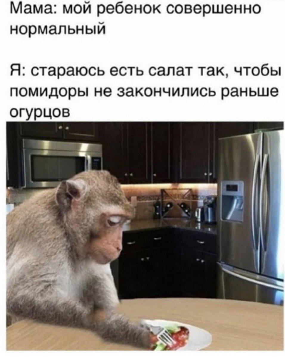 Мама: мой ребенок совершенно нормальныи Я: стараюсь есть салат так, чтобы помидоры не закончились раньше огурцов