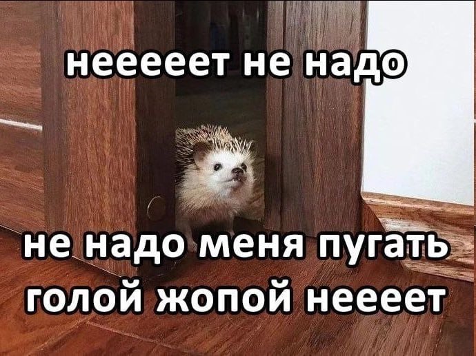 нееееет не Надо не надо меня пугать голой жопой неееет