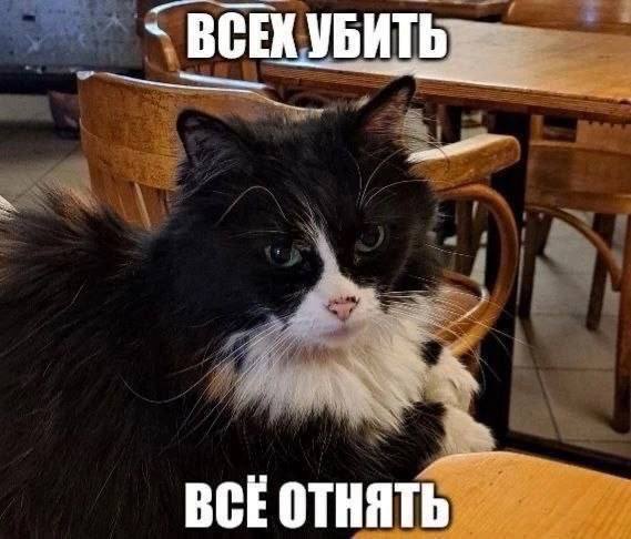 ЕКУБИТ BCE