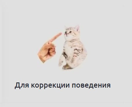 Для коррекции поведения