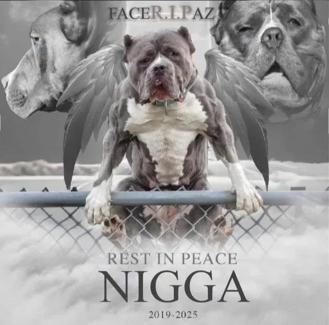 REST IN A С NIGGA 2019-2025