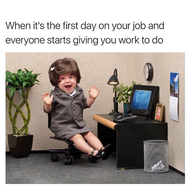 When it's the first day on your job and everyone starts giving you work to