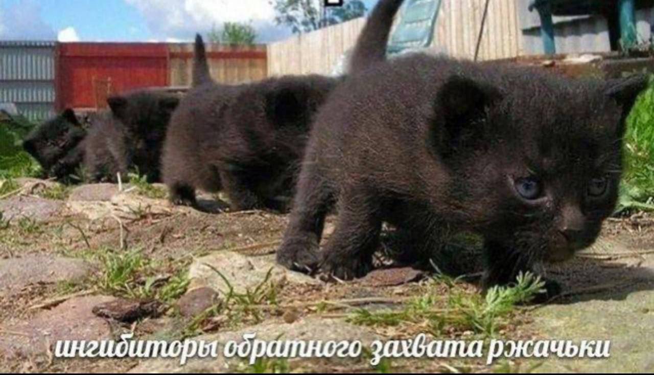захбата ржачьки