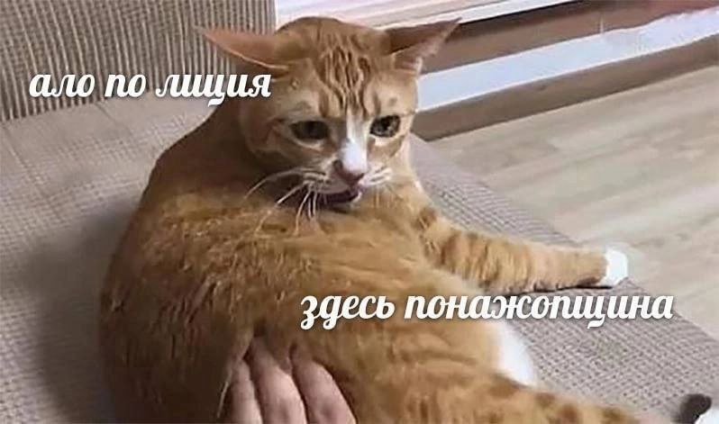ало по лиция понажогицина