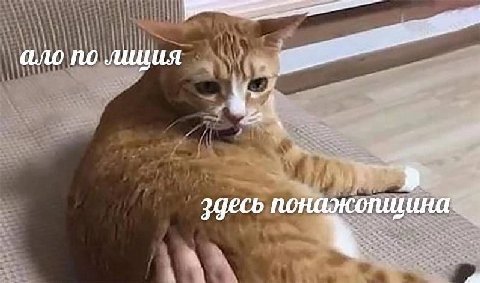 ало по лиция понажогицина