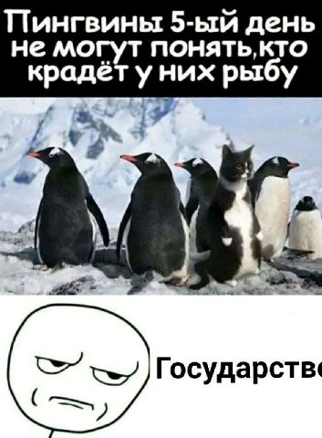 Пингвины день не могут NOHATb,KTO крадёт уних рыбу Государств: