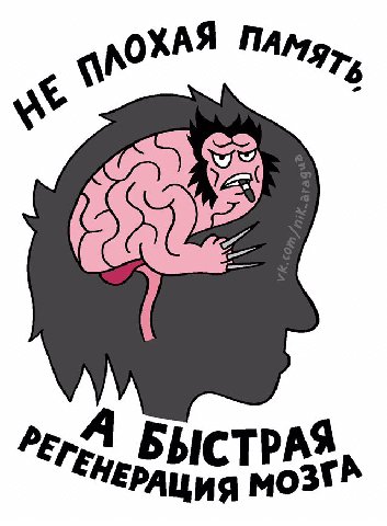 we БЫСТРА НЕ.