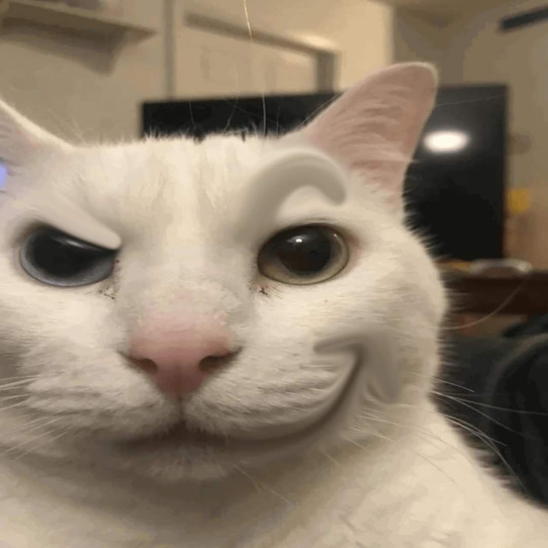ве. ==. =