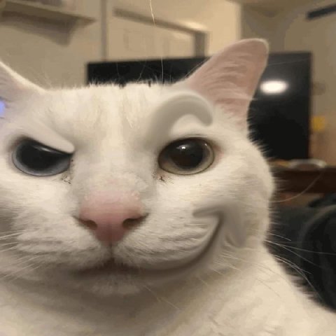 ве. ==. =