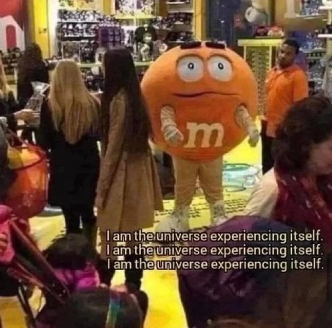 1? the universe изей ипруегье itself experiencing itself