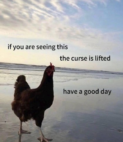 if you are seeing this the curse is lifted have a good day