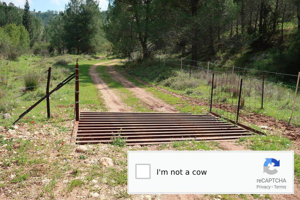 2. not a cow гесАРТСНА Privacy Terms