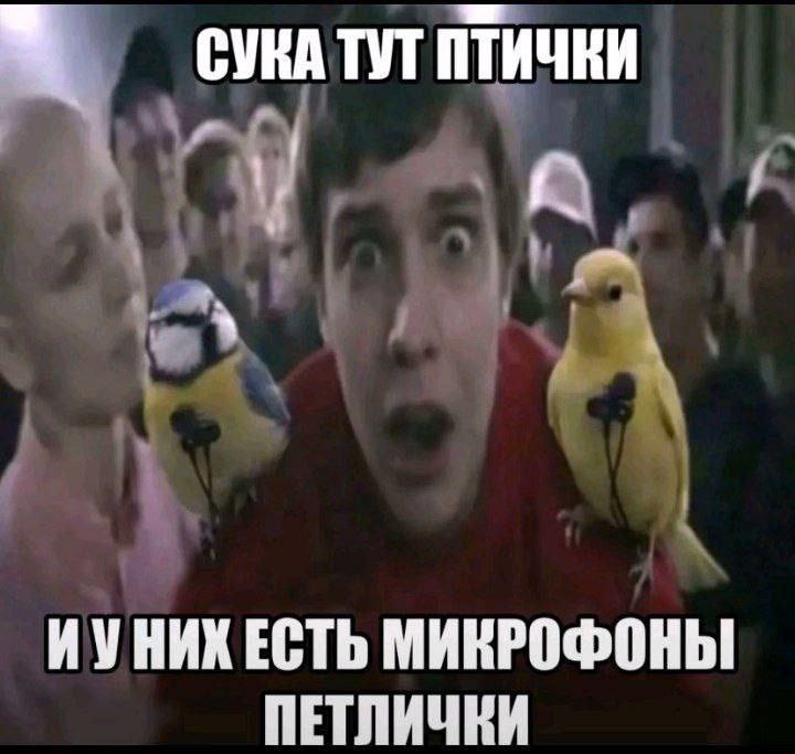 СУКА ТУТ ПТИЧКИ ИУНИК ЕСТЬ МИКРОФОНЫ ПЕТЛИЧЕИ