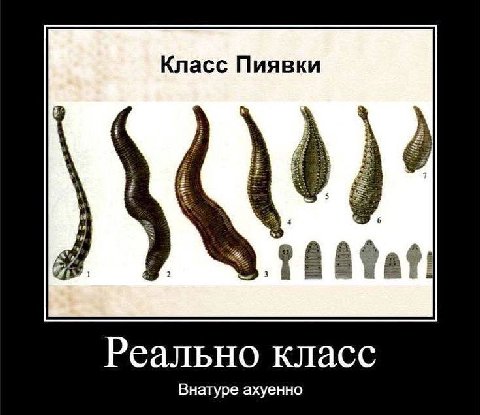 Класс Пиявки 3 Реально класс Внатуре ахуенно