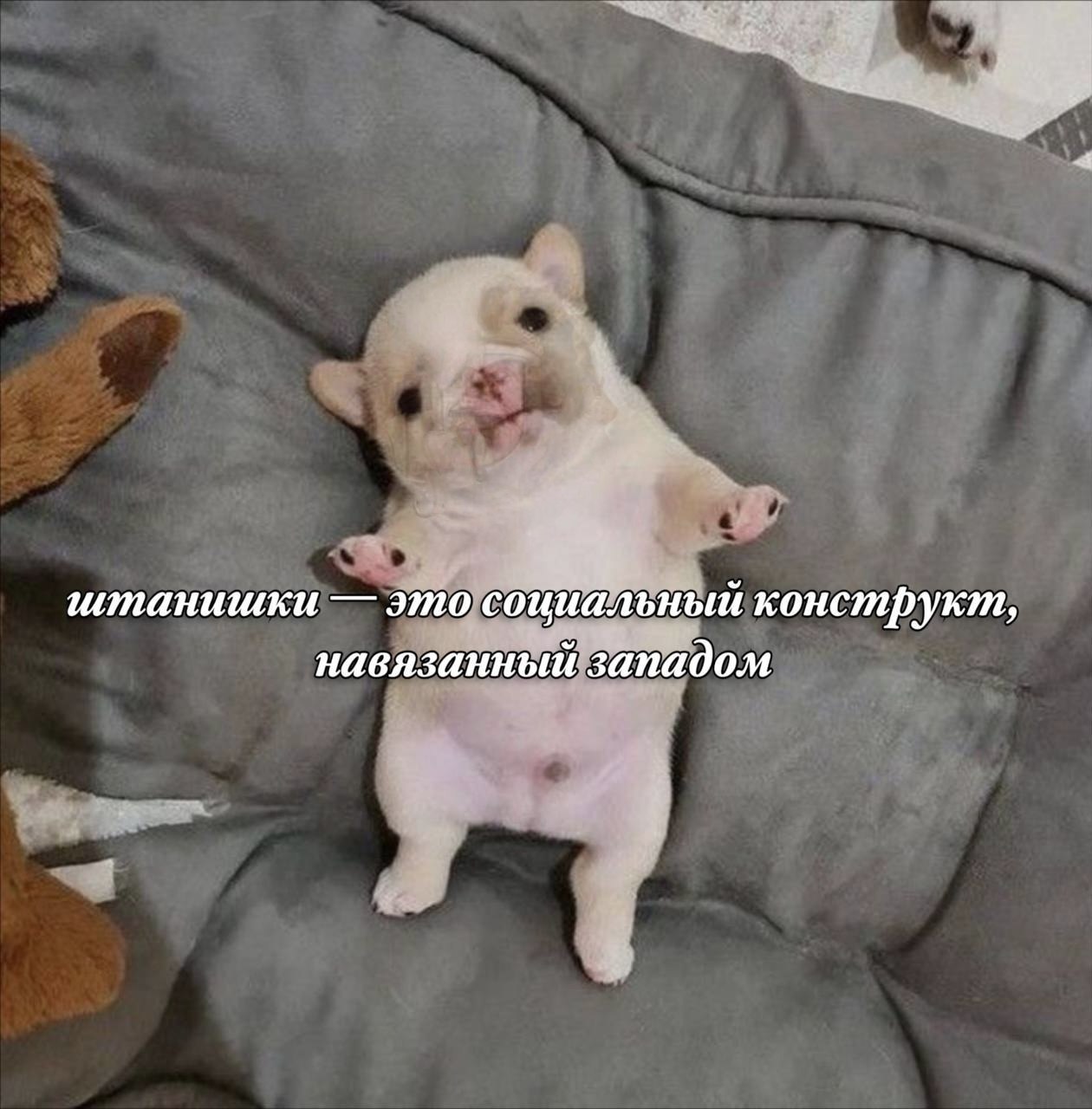 штанишки социальный конструкт, навязанный западом