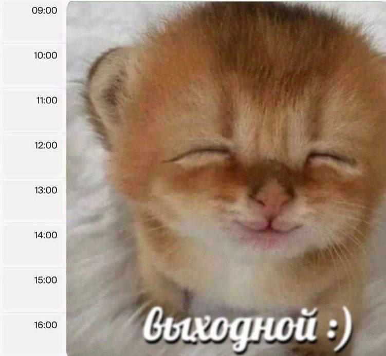 09:00 10:00 11:00 12:00 13:00 14:00 15:00 16:00