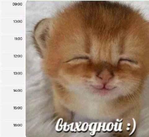 09:00 10:00 11:00 12:00 13:00 14:00 15:00 16:00