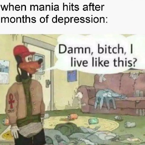 when mania hits after months of depression: Damn, bitch, live like this?