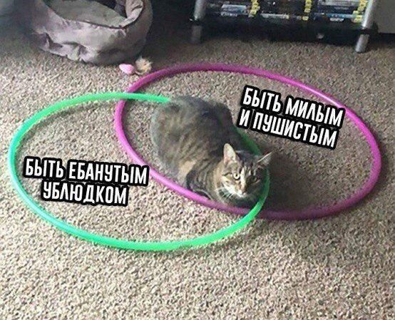 7? at ПУЩ ИСТ bIM 444 БЫТЬ ЕБАНУТ у 4 wir <0 racy of, a“ 4 4 4 4