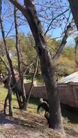 мем