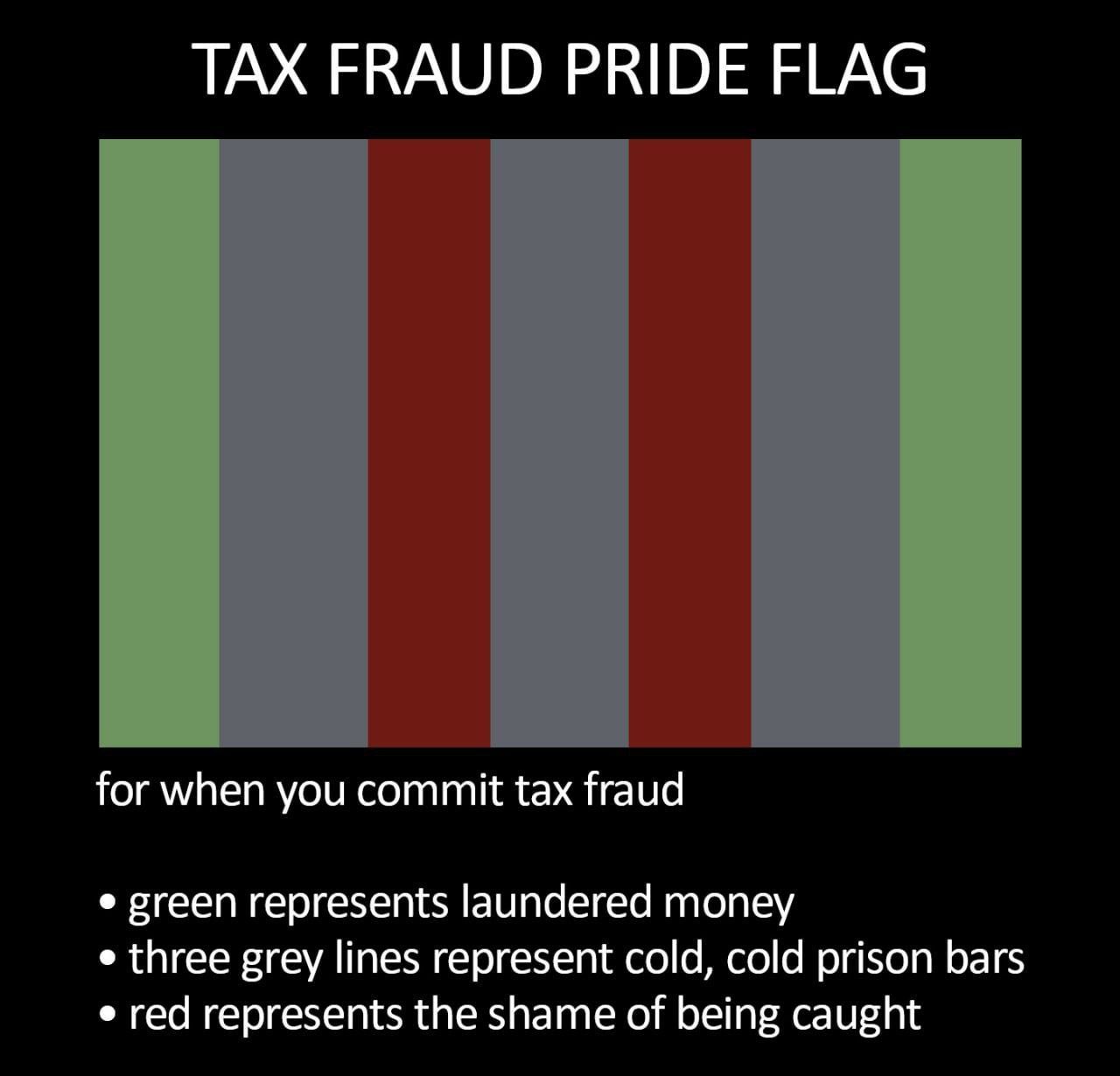TAX FRAUD PRIDE FLAG for when you commit tax fraud green represents laundered money three grey lines represent cold, cold prison bars red represents the shame of being caught