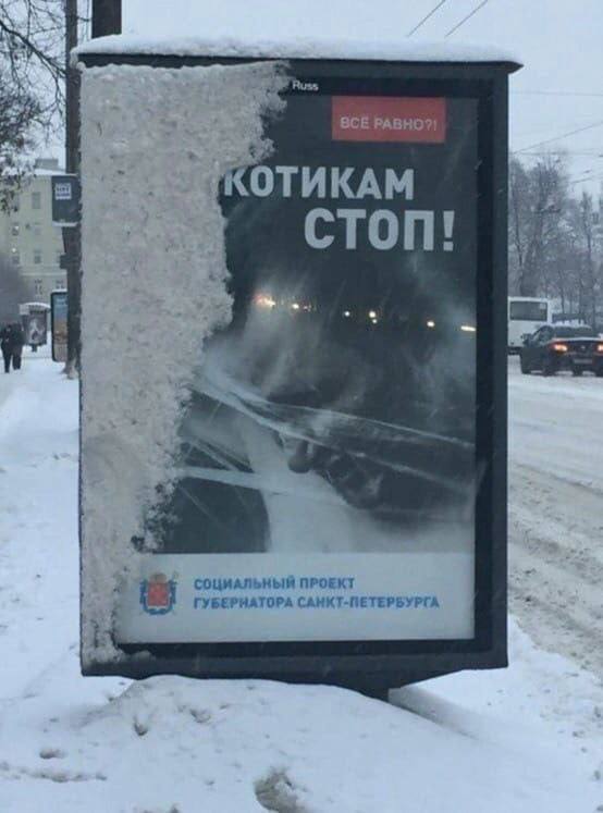 Russ ВСЕ РАВНО?! У СТОП! я 2 СОЦИАЛЬНЫЙ ПРОЕКТ ГУБЕРНАТОРА САНКТ-ПЕТЕРБУРГА