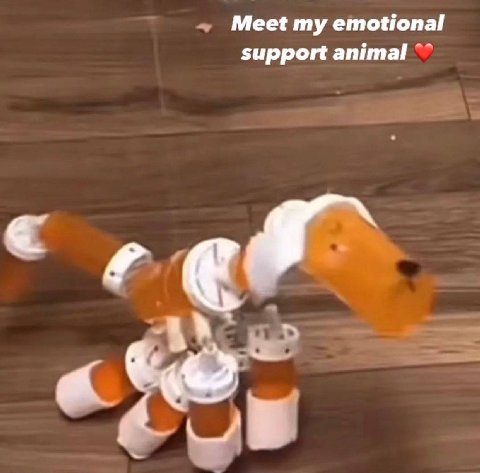 Meet my emotional support animal