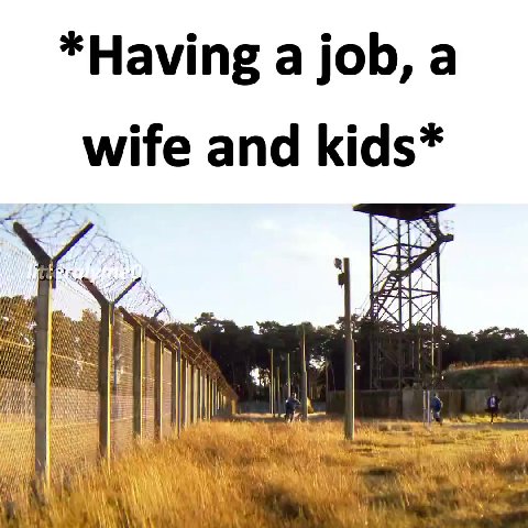мем