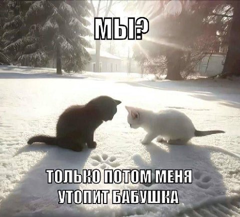 МЕНЯ