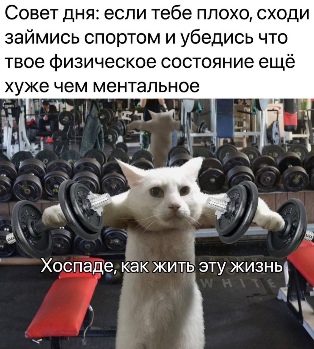 Совет дня: если тебе плохо, сходи займись спортом и убедись что твое физическое состояние ещё хуже чем ментальное A 65 3 Хоспаде, эту