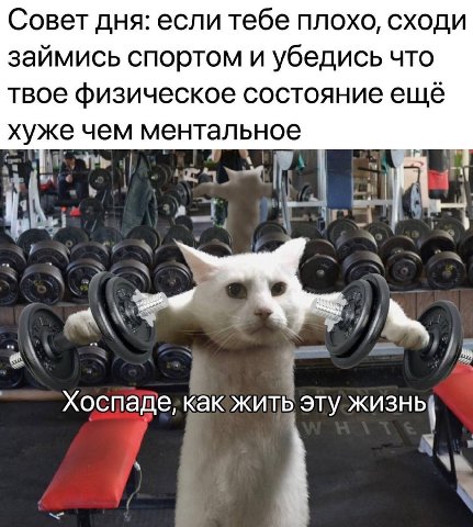 Совет дня: если тебе плохо, сходи займись спортом и убедись что твое физическое состояние ещё хуже чем ментальное A 65 3 Хоспаде, эту