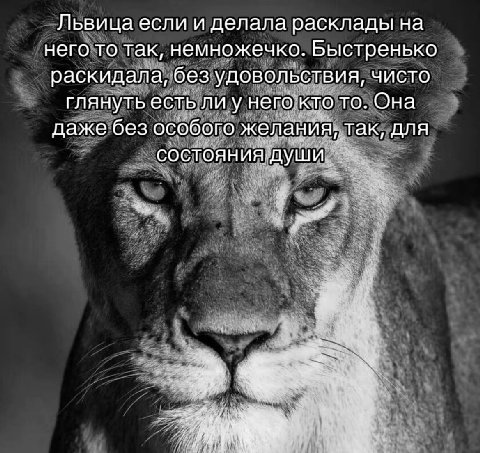 Львица если и делала расклады на него то так, немножечко. Быстренько раскидала, без удовольствия, чисто глянуть есть лиу него кто то. Она даже без особого желания, так, для состояния души.