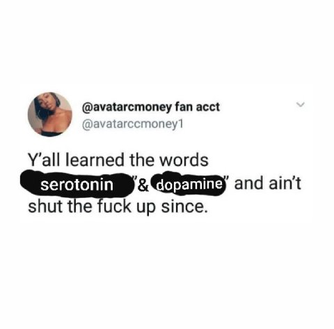 @avatarcmoney fan acct @avatarccmoney1 learned the words dopamine апд shut the fuck up since.