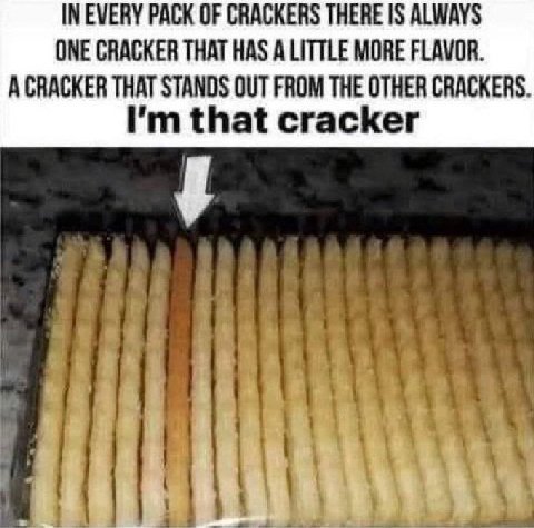 IN EVERY PACK OF CRACKERS THERE IS ALWAYS ONE CRACKER THAT HAS ALITTLE MORE FLAVOR. A CRACKER THAT STANDS OUT FROM THE OTHER CRACKERS. that cracker у: АВЕ
