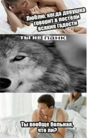 ты не панк