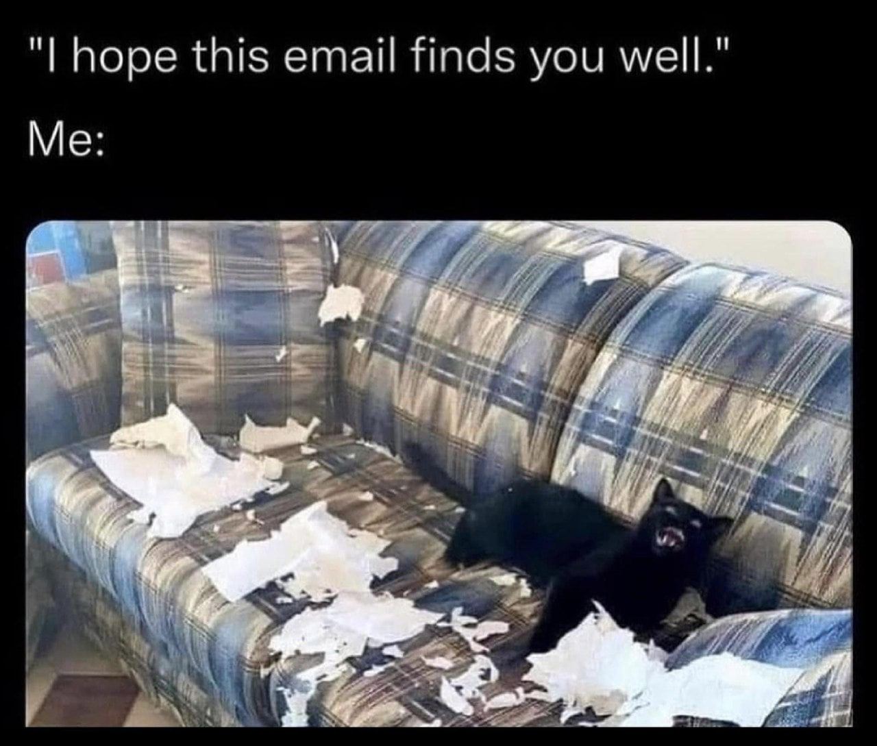 hope this email finds you well." Me: My