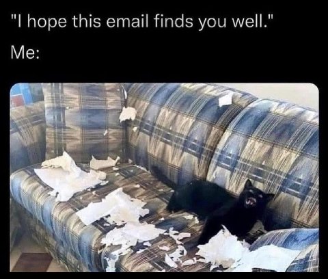 hope this email finds you well." Me: My