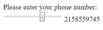 Please enter your phone number: 2158559745