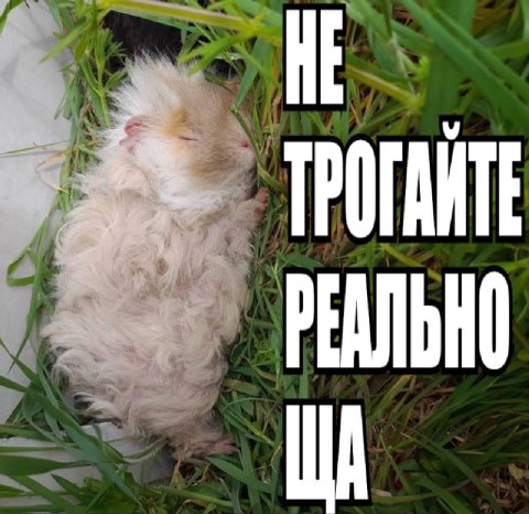 HE у: ТРОГАИТЕ А РЕАЛЬНО