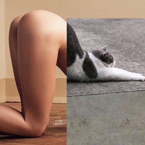 choose ur fighter